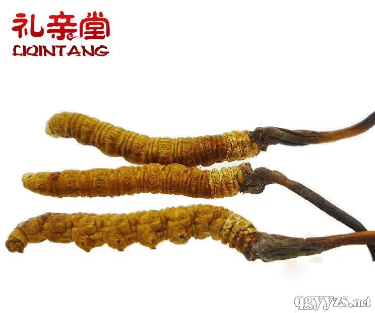 �����Ĳ�3��/��