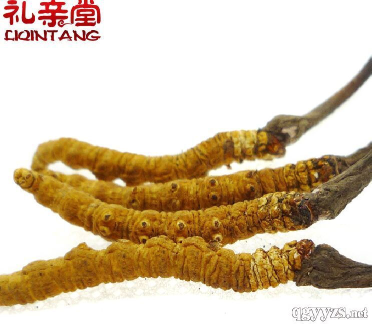 �����Ĳ�4��/��