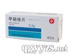 ������Ƭ