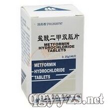 �������˫��Ƭ