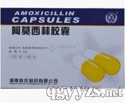 阿莫西林胶囊
