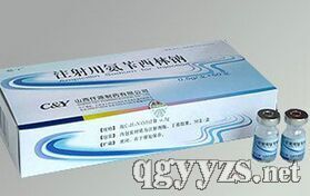 ע���ð���������