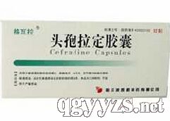 ͷ����������