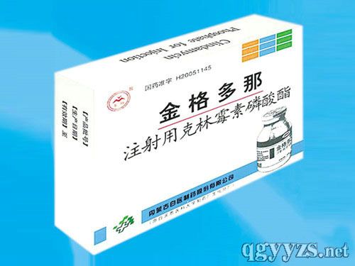 注射用克林霉素磷酸酯