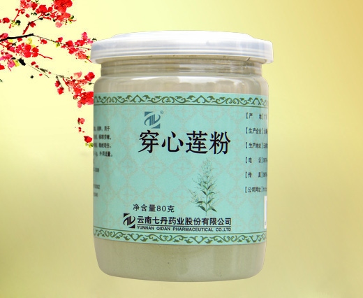 穿心莲粉