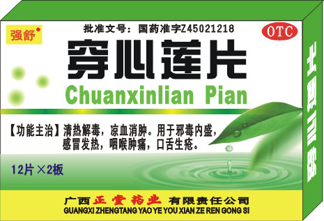 ������Ƭ