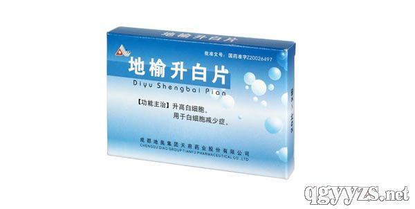 ��������Ƭ