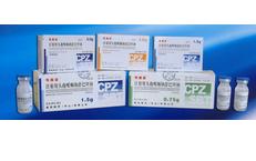 ע����ͷ����ͪ�����̹��2:1