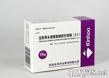 ע����ͷ����ͪ��/���̹�ƣ�2:1��