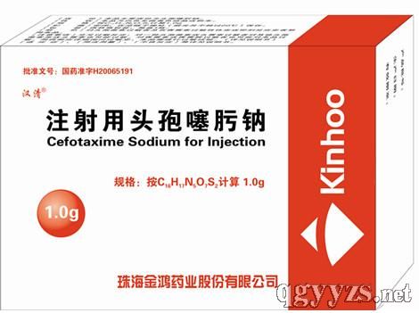 ע����ͷ�������