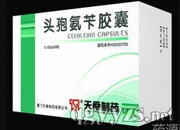 ͷ�߰��н���