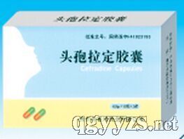 ͷ����������