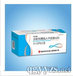 ע���������˸����ئ�2b