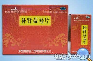 ��������Ƭ