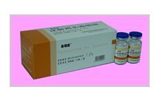 ע����ͷ�����1.0g