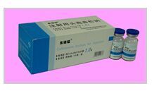 ע����ͷ��������