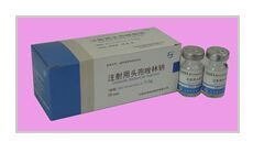 ע����ͷ��������