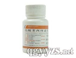 �����������Ƭ