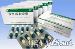 �޺�ù�ؽ���