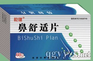 ������Ƭ