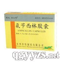 �������ֽ���