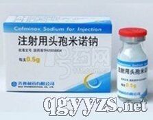 ע����ͷ����ŵ��