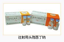 ע����ͷ��������1.0g