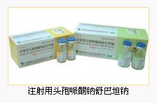 ע����ͷ����ͪ�����̹��2.0g