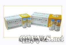 ע����ͷ��߻����0.75g