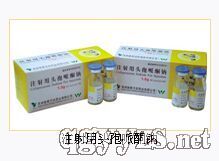 ע����ͷ����ͪ��