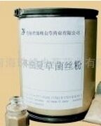 ���Ͷ����Ĳݾ���