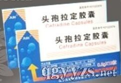 ͷ����������