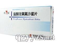 ����������ɳ��Ƭ