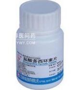 �����������Ƭ