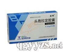 ͷ����������