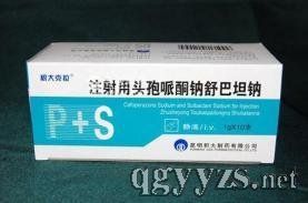 ע����ͷ����ͪ�����̹��