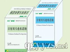 ע����ͷ����ŵ��