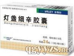 ��յϸ������