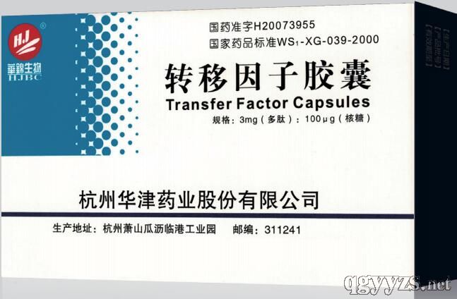 ת�����ӽ���