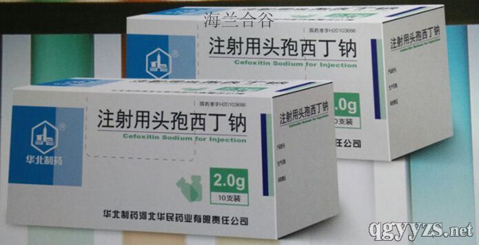 ע����ͷ��������