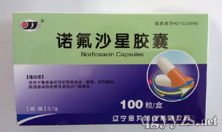 ŵ��ɳ�ǽ���100��