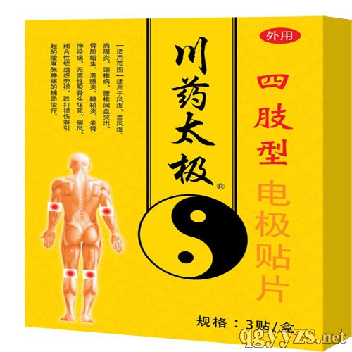 ��֫�ͣ��缫��Ƭ��