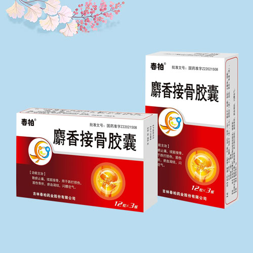 ����ӹǽ���