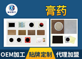 �ڸ�ҩ���ӹ�����