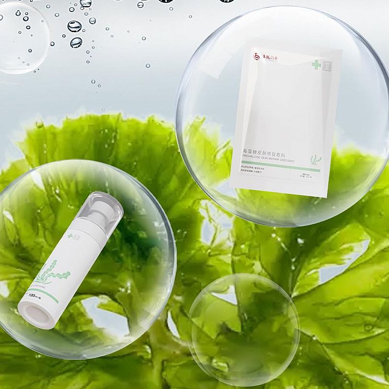 ������Ƥ���޸������洴�����м�Ƥ��Ƥ��е�ֺ�����