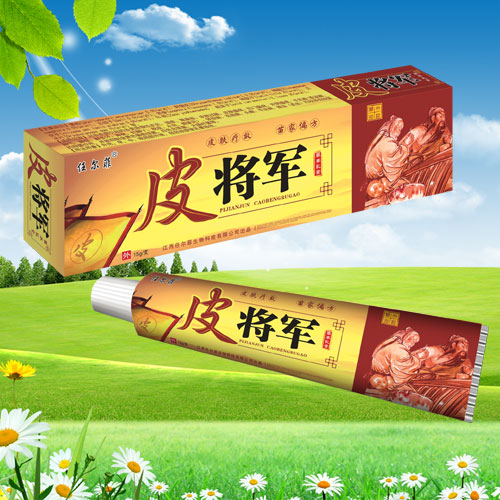 Ƥ�����ݱ����