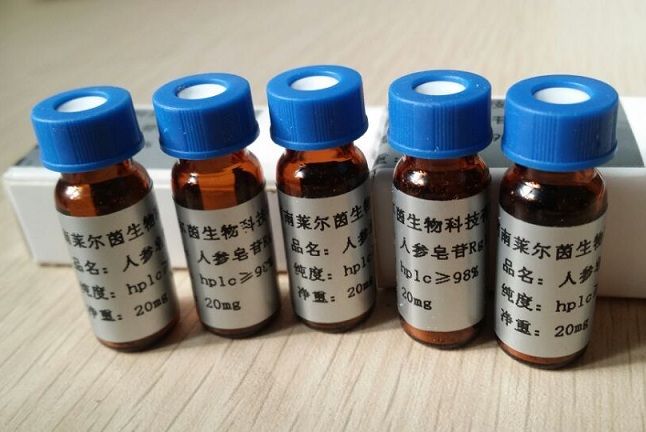 ��ȸ����