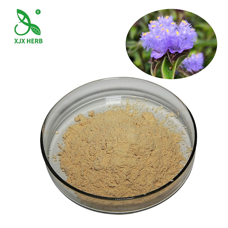 ��Ƥ����